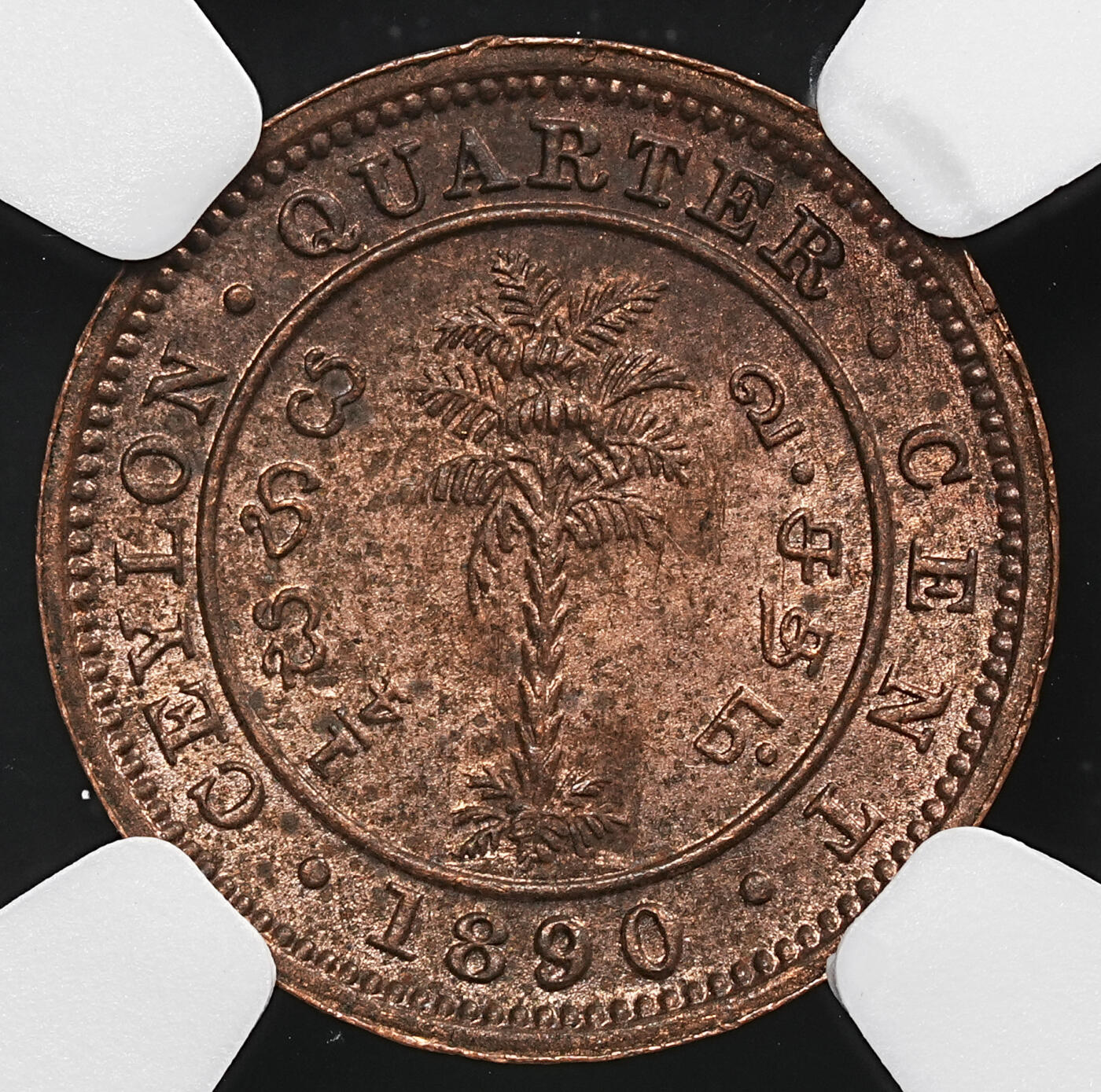 修遠堂世界钱币第九十一期 NGC MS63RB 1890年英属锡兰1/4分铜币