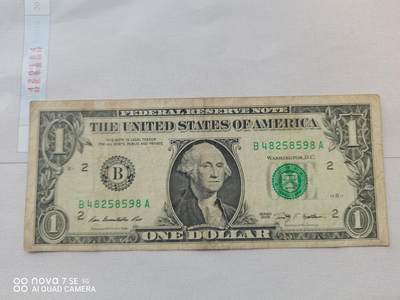 纸币 - 壹美元