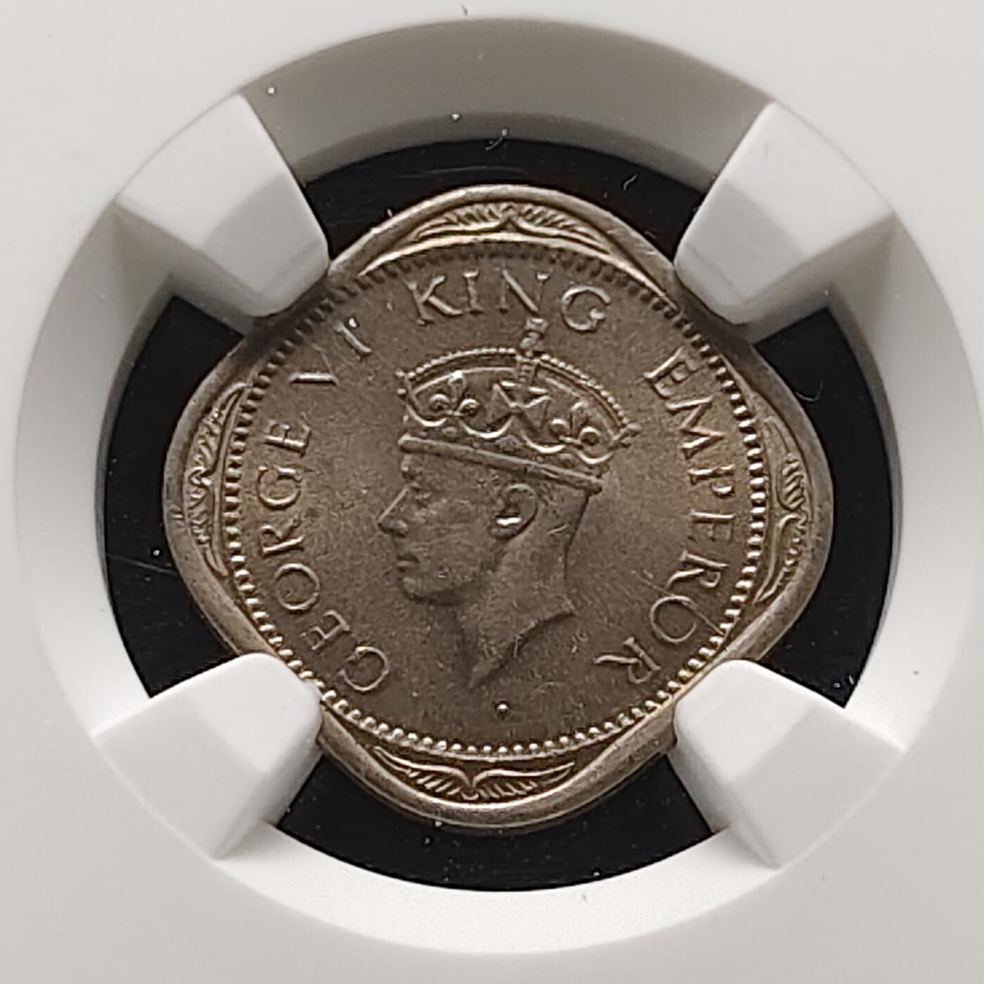 【全场包邮】纯粹捡漏拍473场（免费代拍第10场）