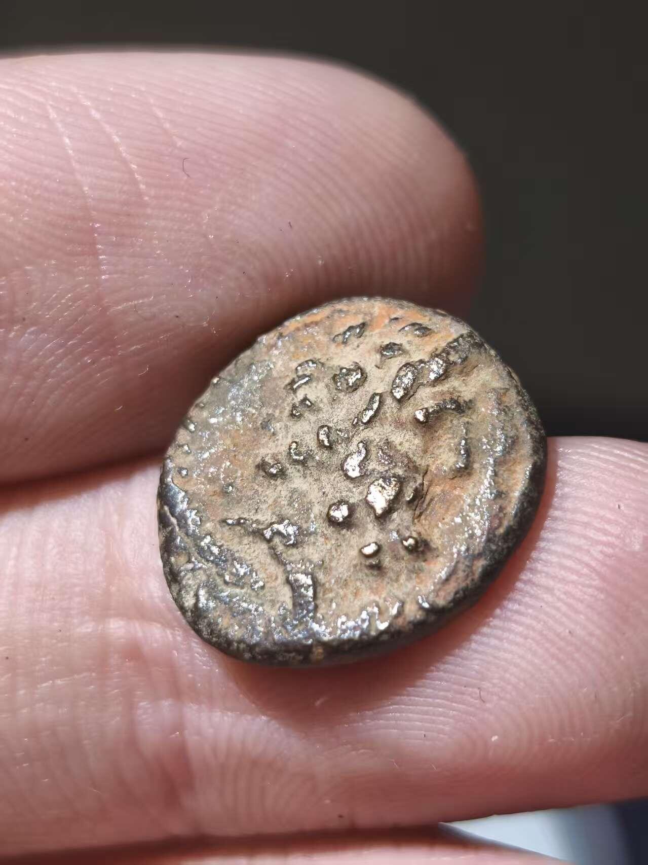 星盘世界钱币十一月五日古典币专场