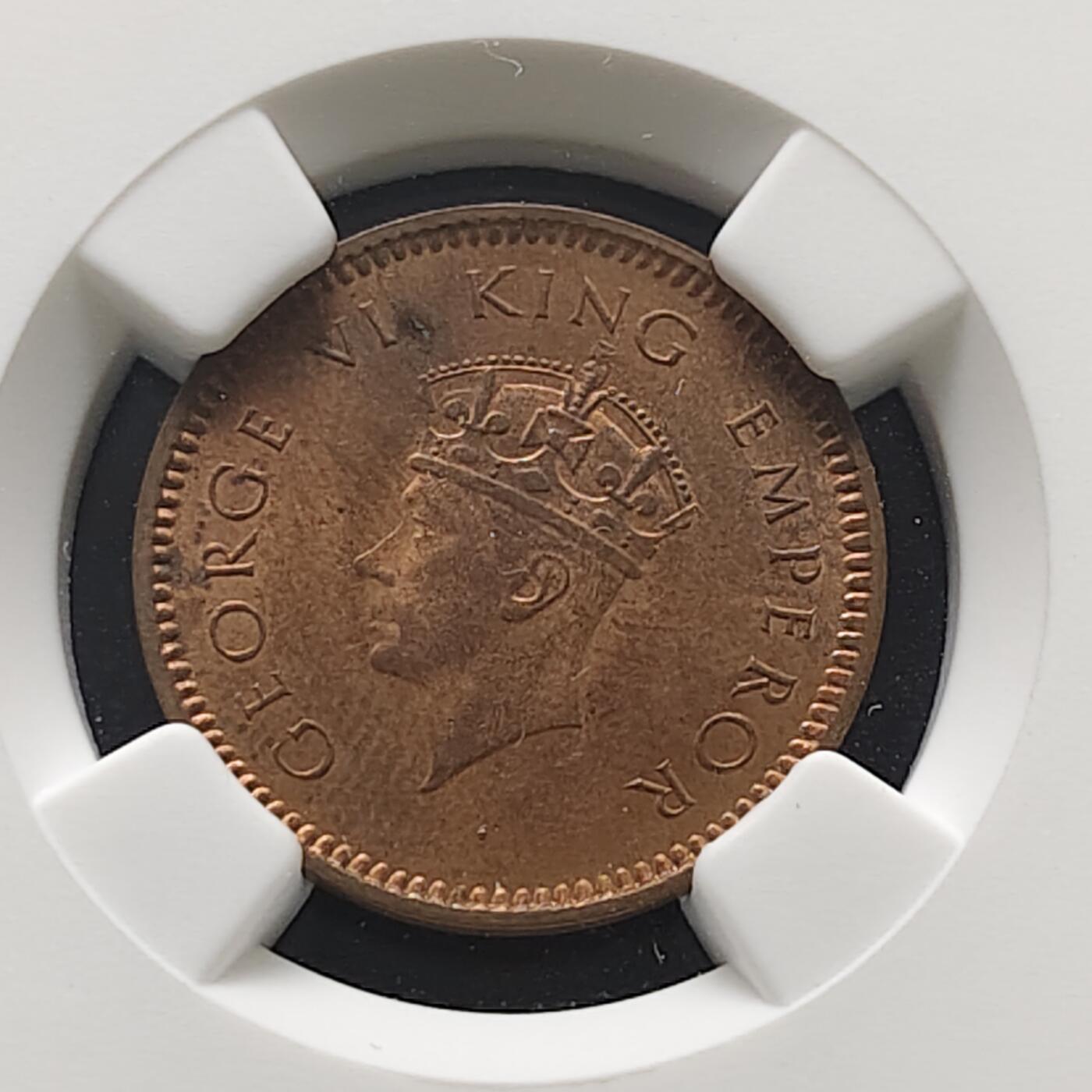 【全场包邮】纯粹捡漏拍473场（免费代拍第10场）