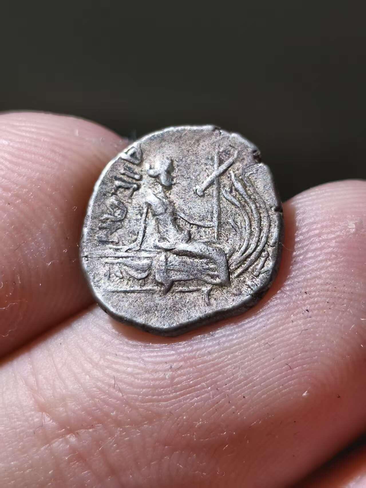 星盘世界钱币十一月五日古典币专场