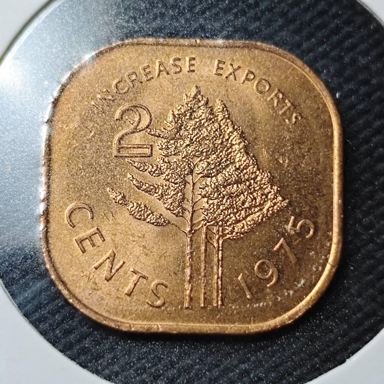 KK钱币收藏小铺  第361场  2月预留时间 周末发货  1975斯威士兰2分铜币 好品