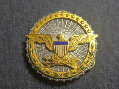 罗岚⭐爱藏⭐精品专拍第七场-分享拍场赚佣（周六有群拍，详细看简介） - 美利坚合众国国防服务勋章（U.S. Defense Service Badge PIN）纯银镀金珐琅质