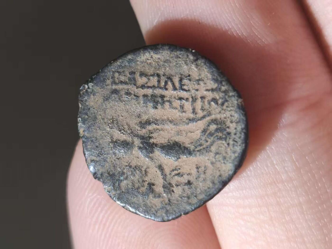 星盘世界钱币十一月五日古典币专场