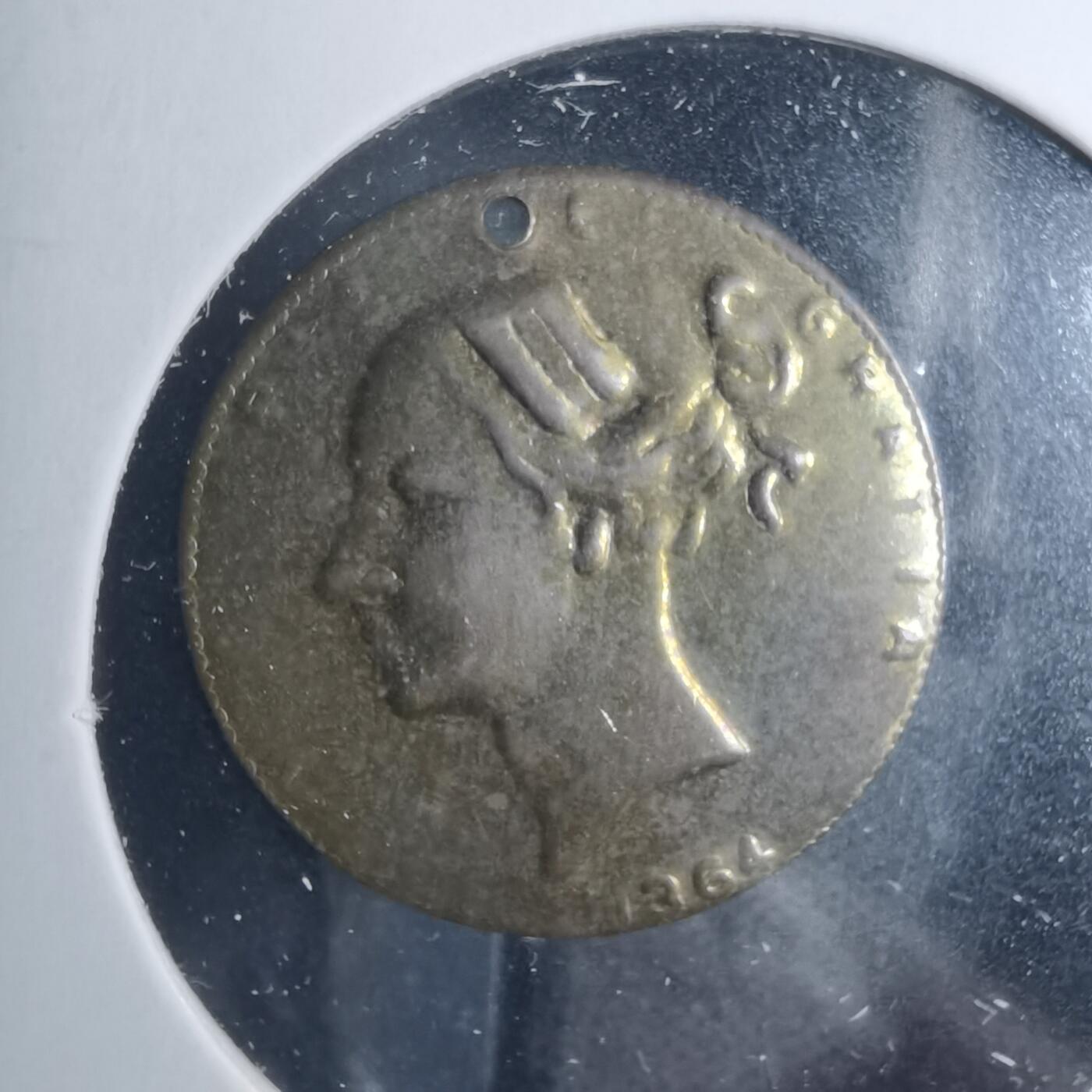 沼泽如烟--第885场 小片片