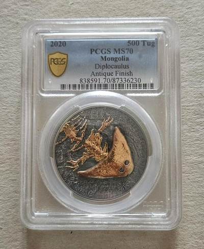 ❤️【币观天下】❤️ 第329期钱币拍卖- 2025.10.31周五晚上6点半场-长期征集拍品 - PCGS蒙古2020年生命进化笠头螈镀金银币 999银1盎司，发行999枚，评级币带证书包装。