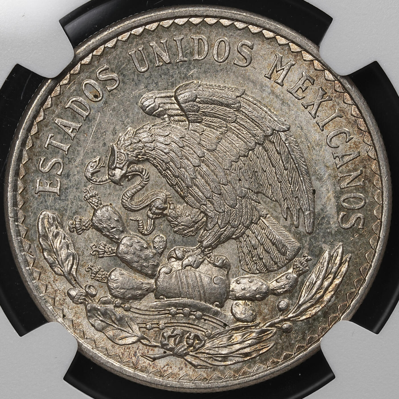 修遠堂世界钱币第九十一期