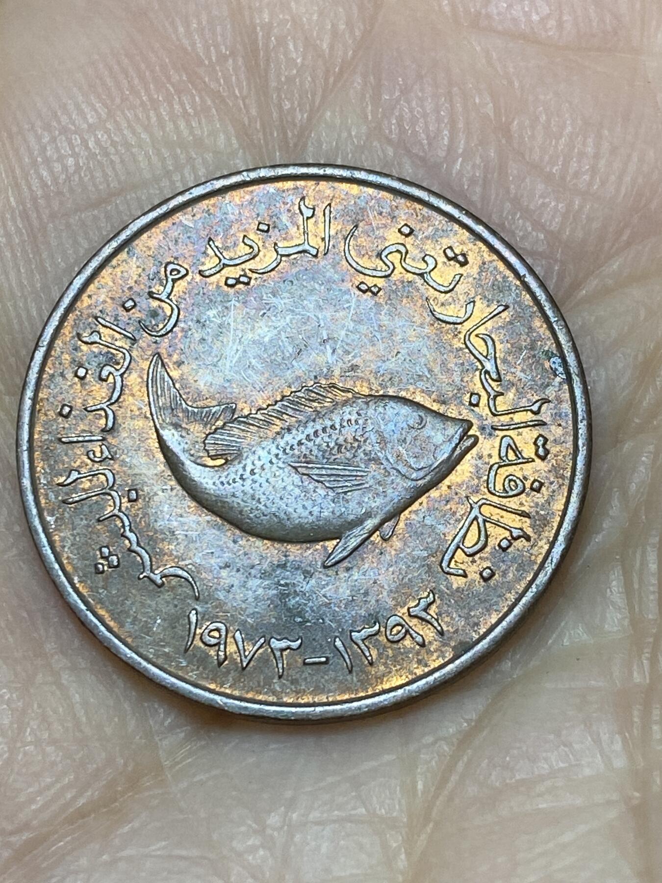 2025年第一百一十九场(总第一百四十五场）外国好品散币(免佣金) 阿联酋🇦🇪1973年5费尔