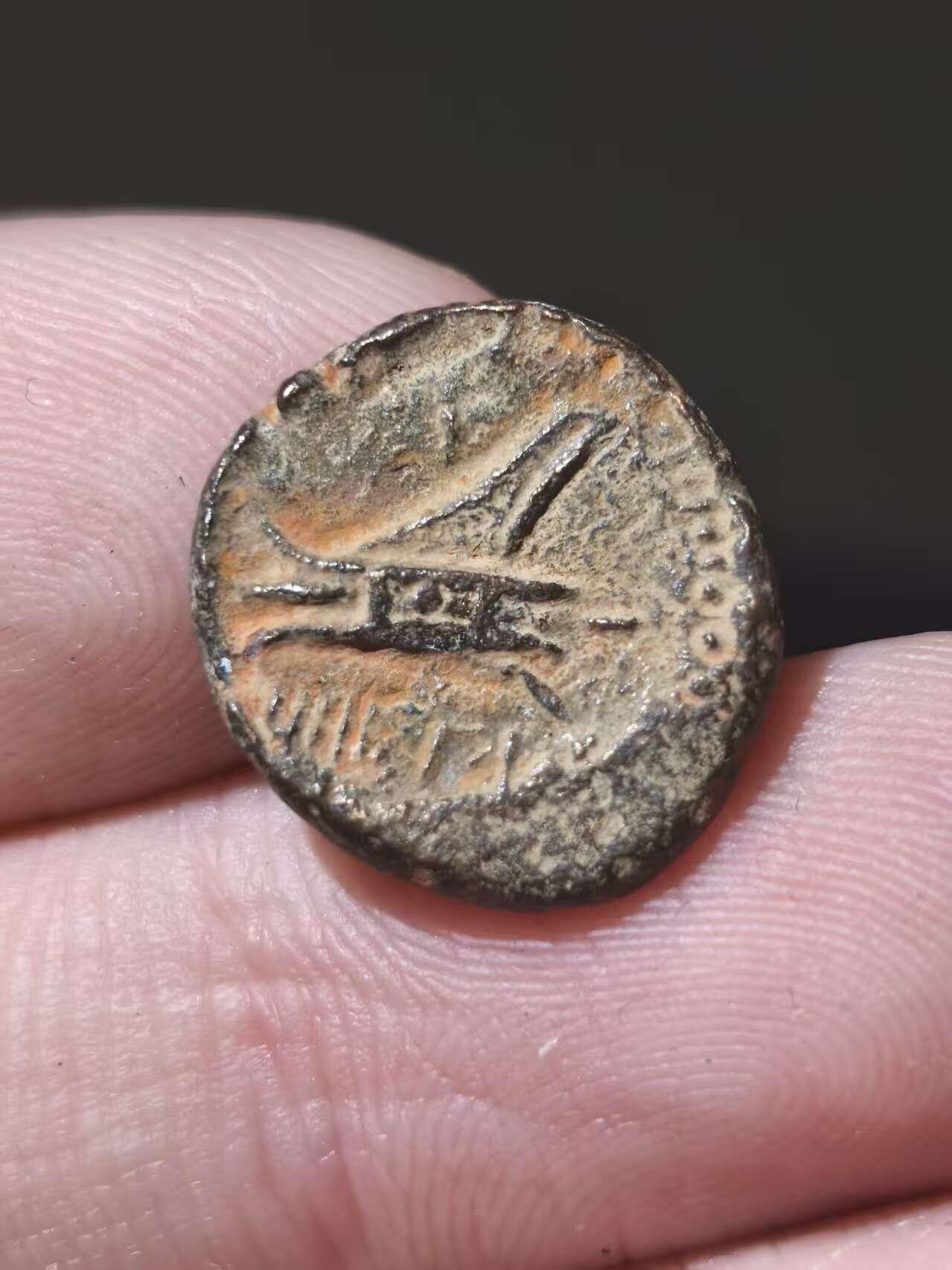 星盘世界钱币十一月五日古典币专场