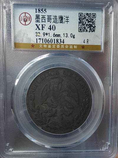 老银元专场（本场有部分趣味币和版别币） - 墨西哥鹰洋半圆，两枚，公博评级。