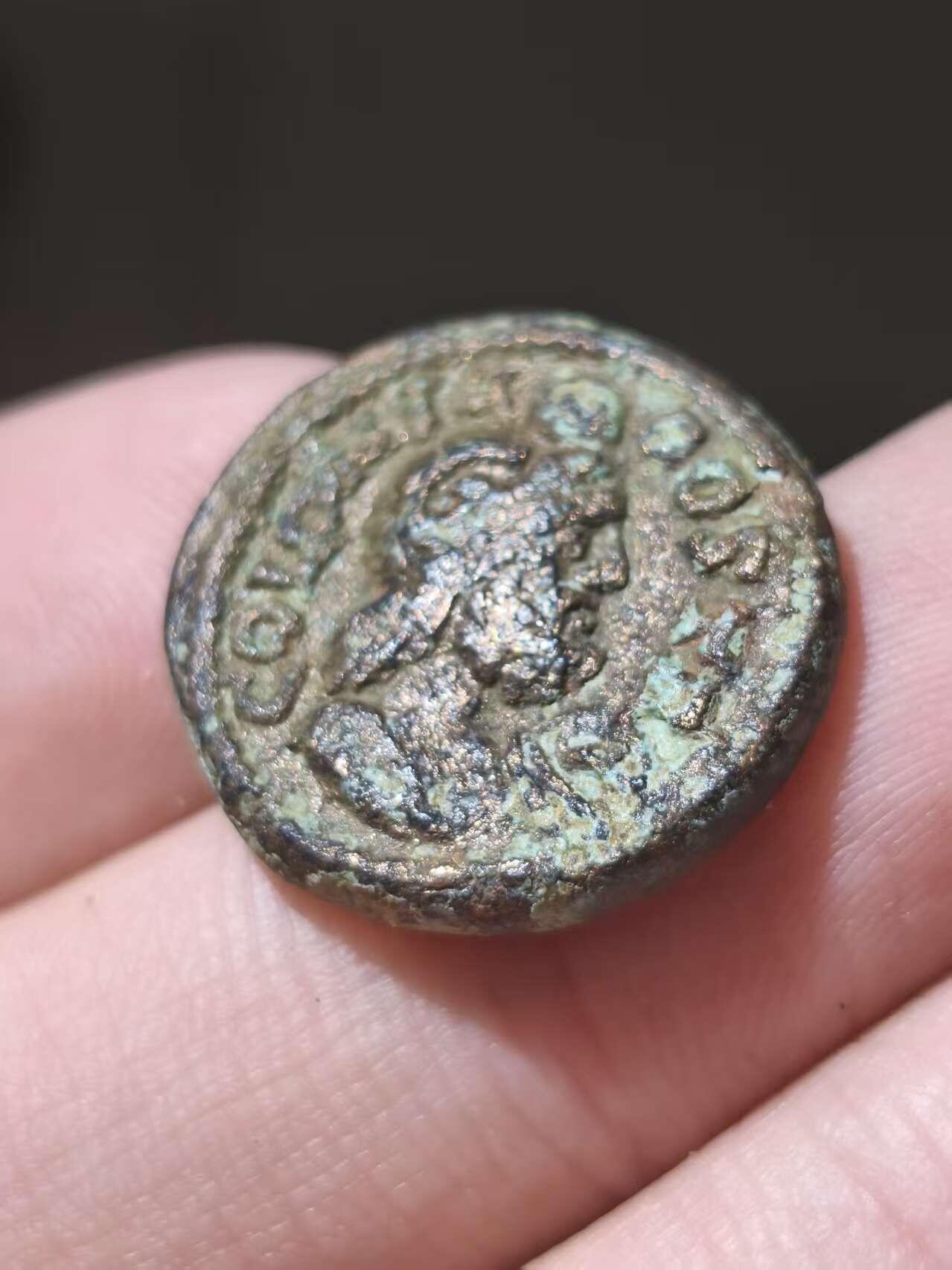 星盘世界钱币十一月五日古典币专场