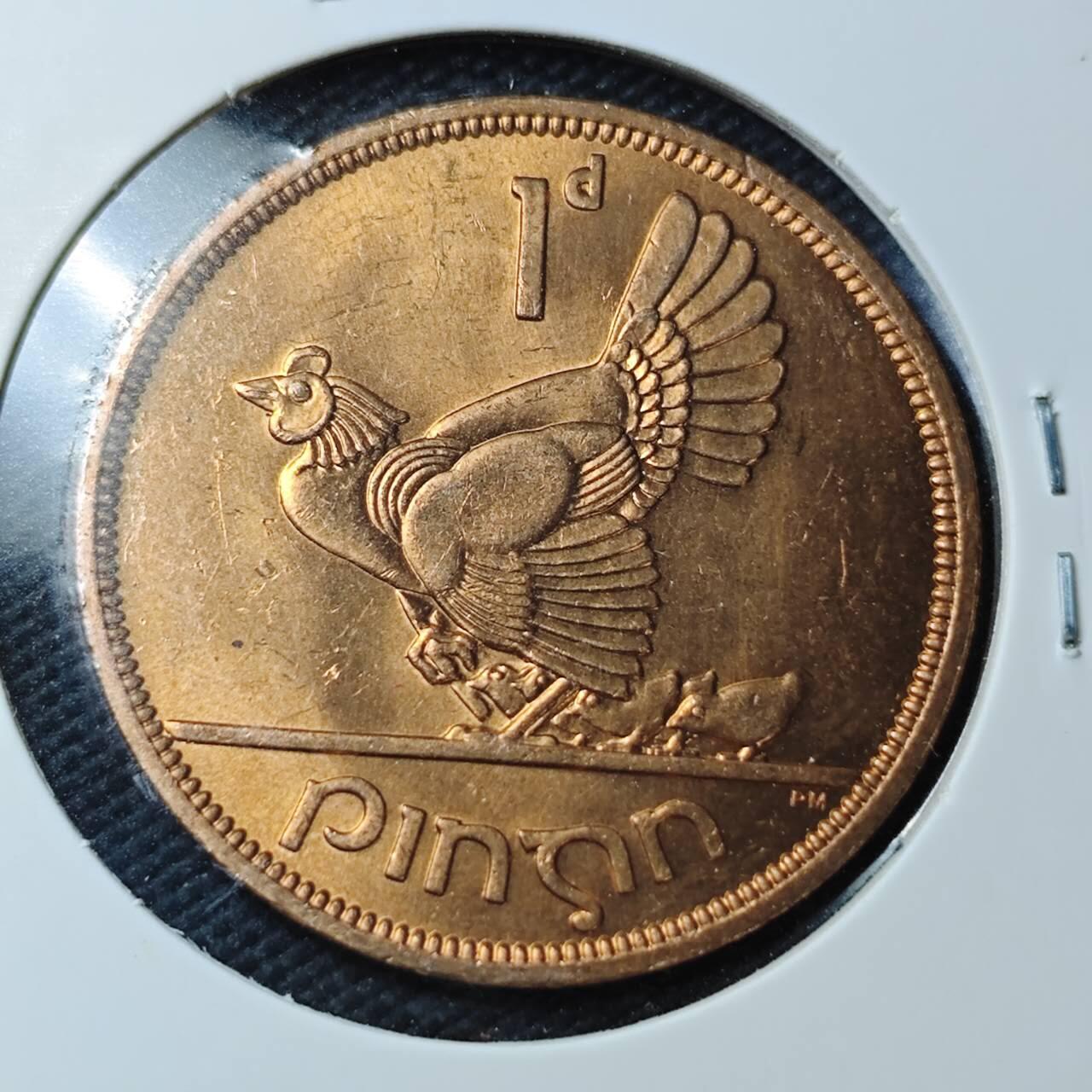 KK钱币收藏小铺  第361场  2月预留时间 周末发货  1968爱尔兰1便士 母鸡铜币