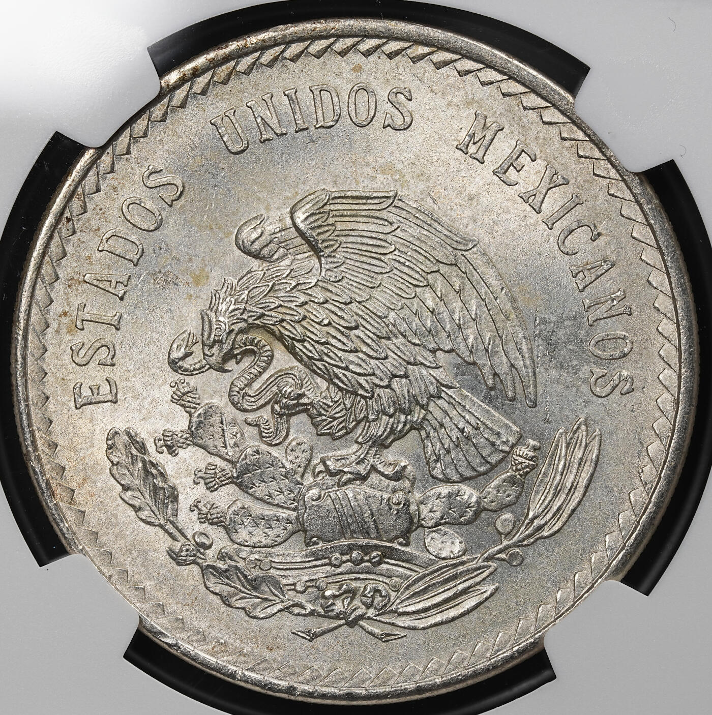 修遠堂世界钱币第九十一期