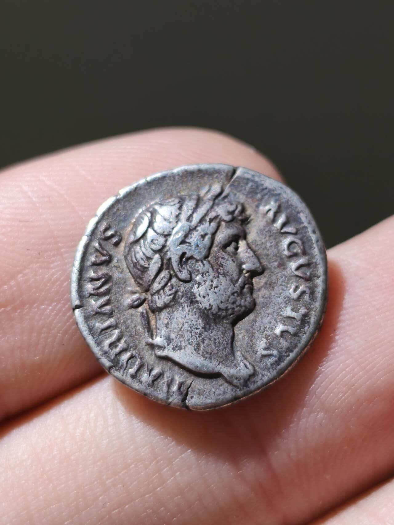 星盘世界钱币十一月五日古典币专场