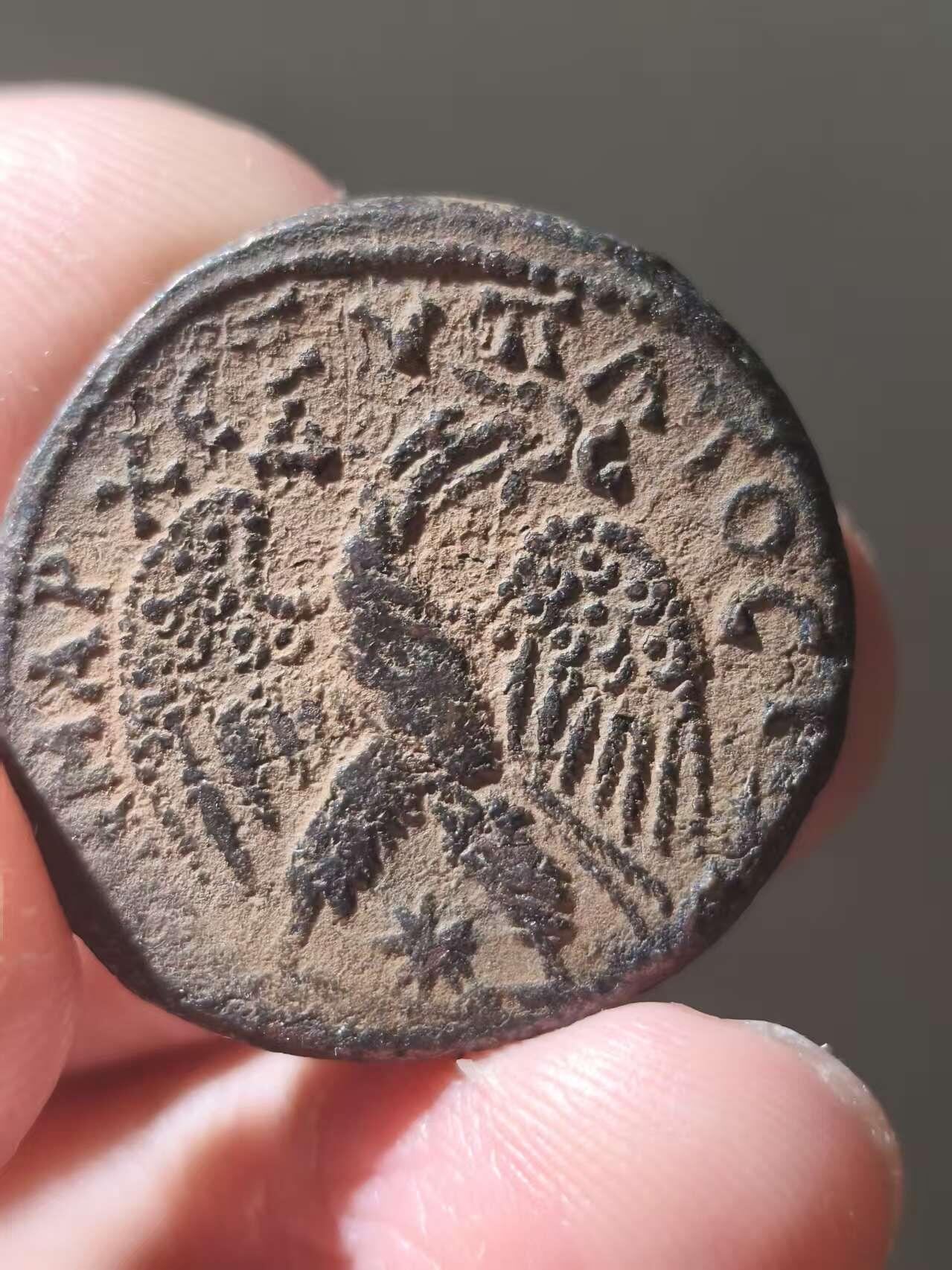 星盘世界钱币十一月五日古典币专场