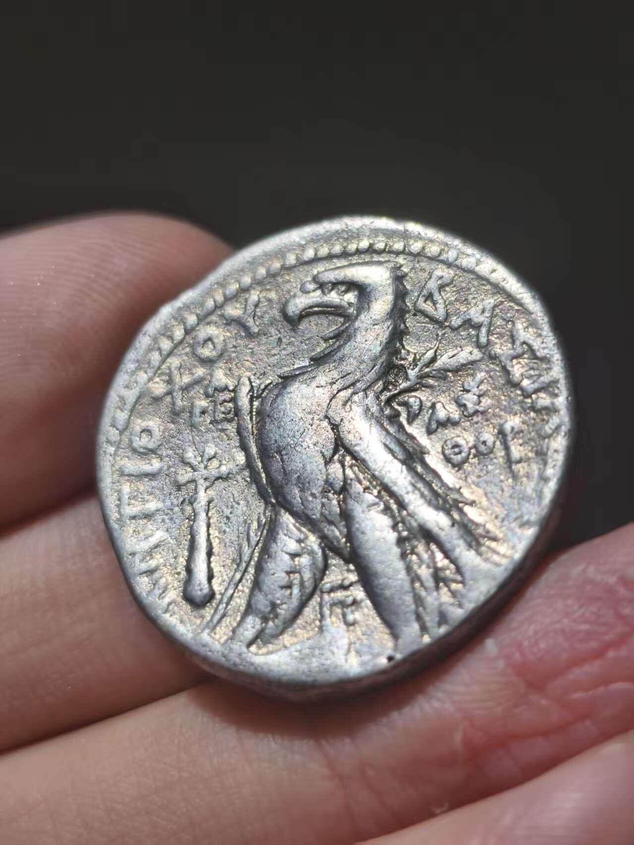 星盘世界钱币十一月五日古典币专场