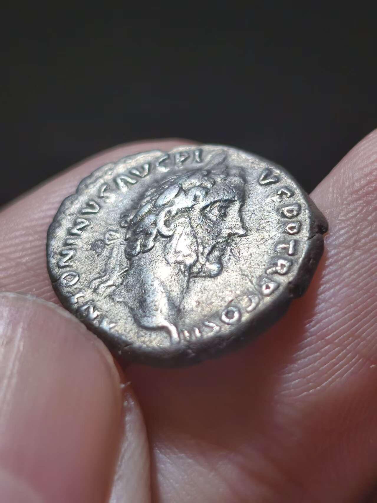 星盘世界钱币十一月五日古典币专场