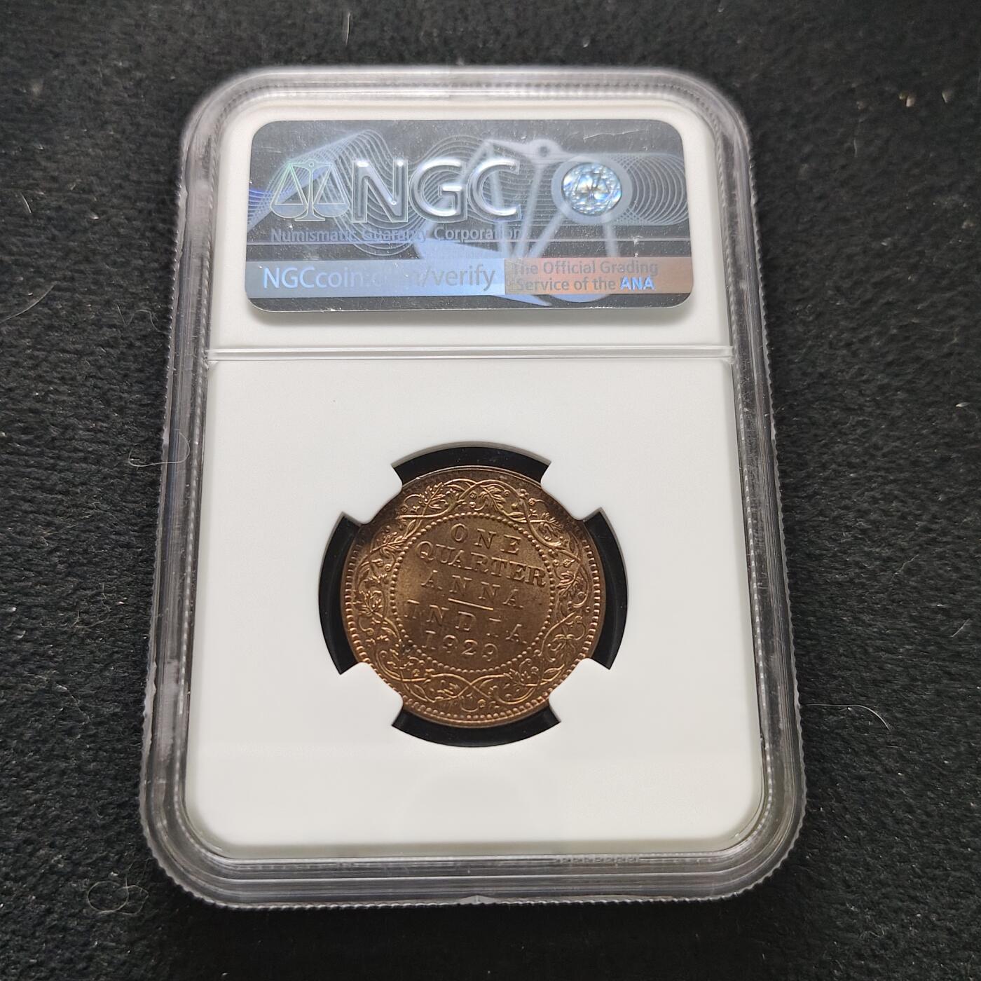 【全场包邮】纯粹捡漏拍473场（免费代拍第10场）