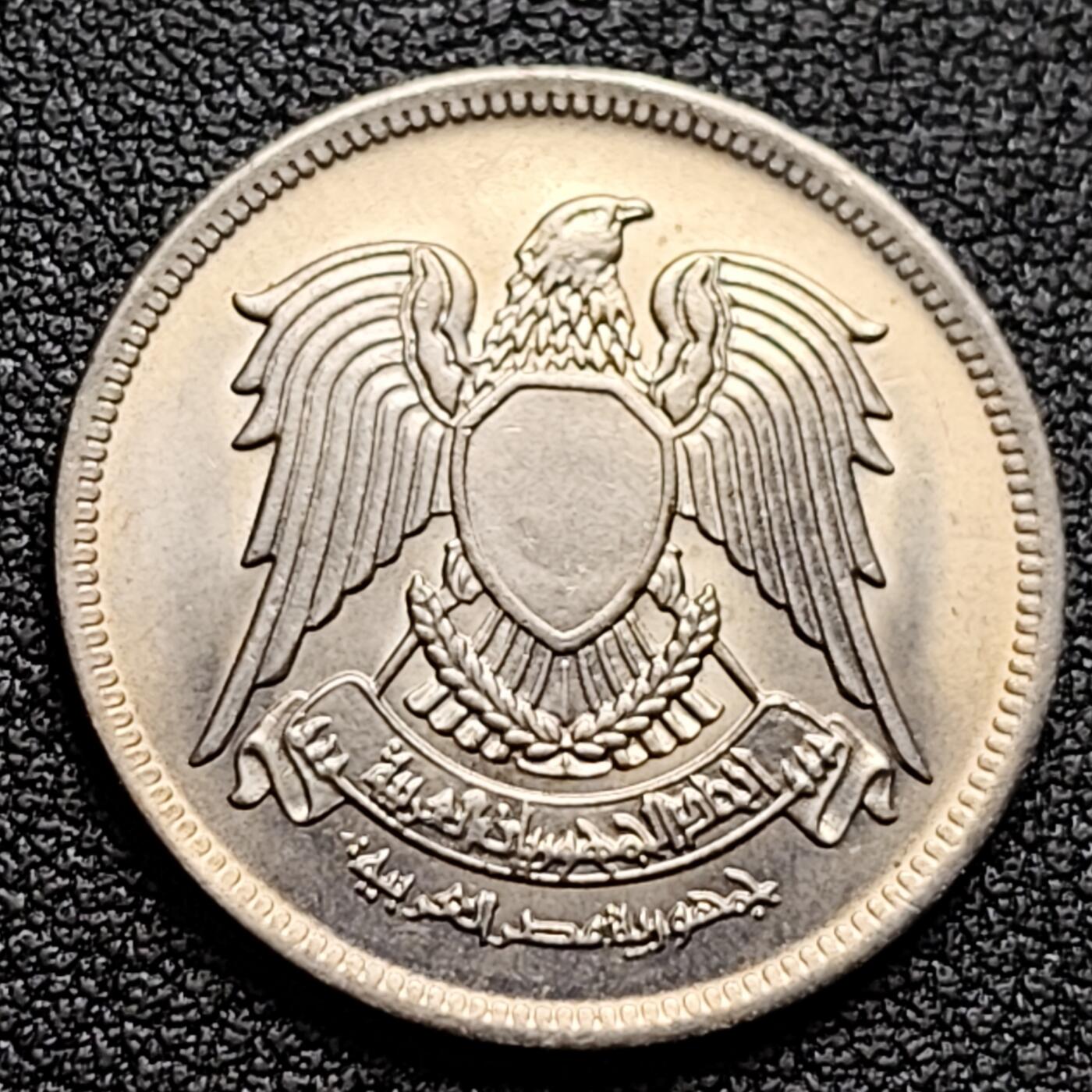 泉币菌-第120场-精品福利场