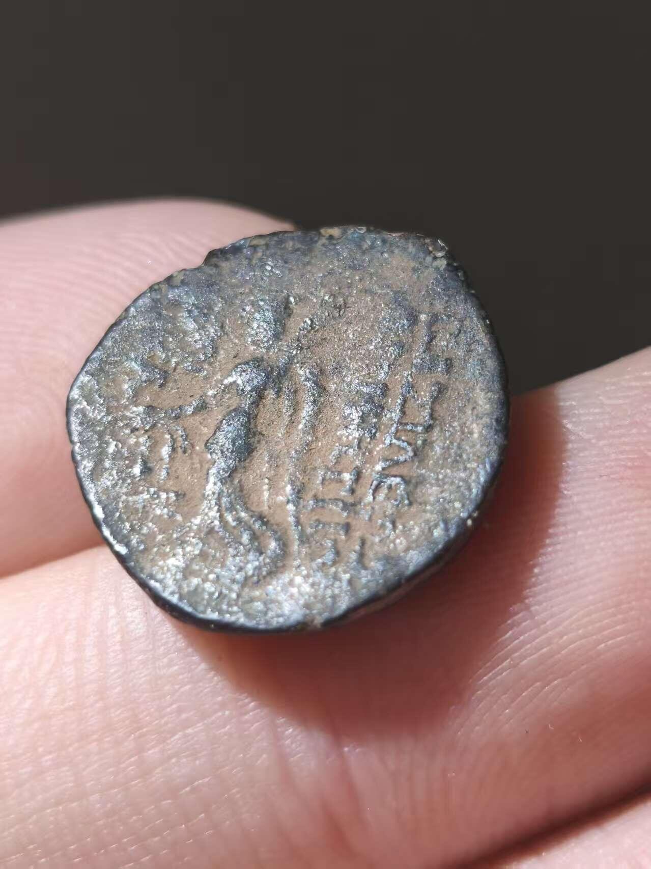 星盘世界钱币十一月五日古典币专场