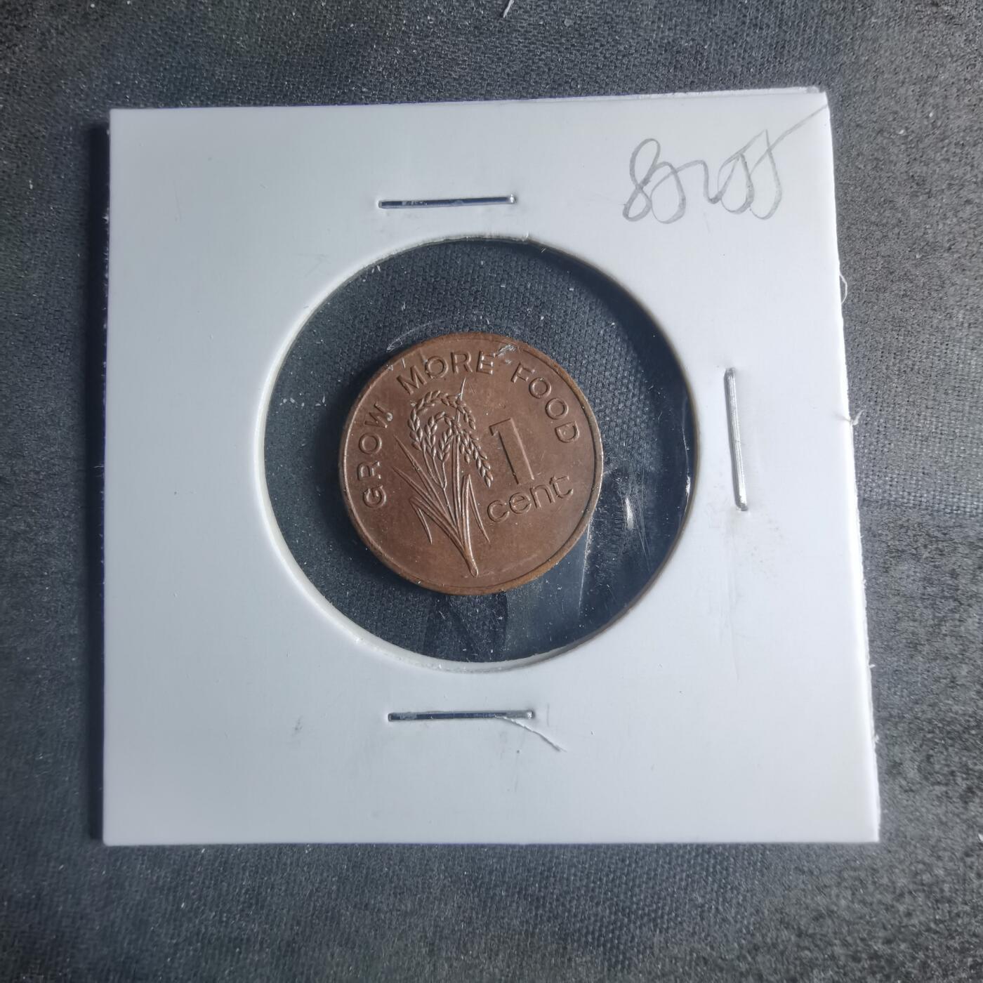 沼泽如烟--第885场