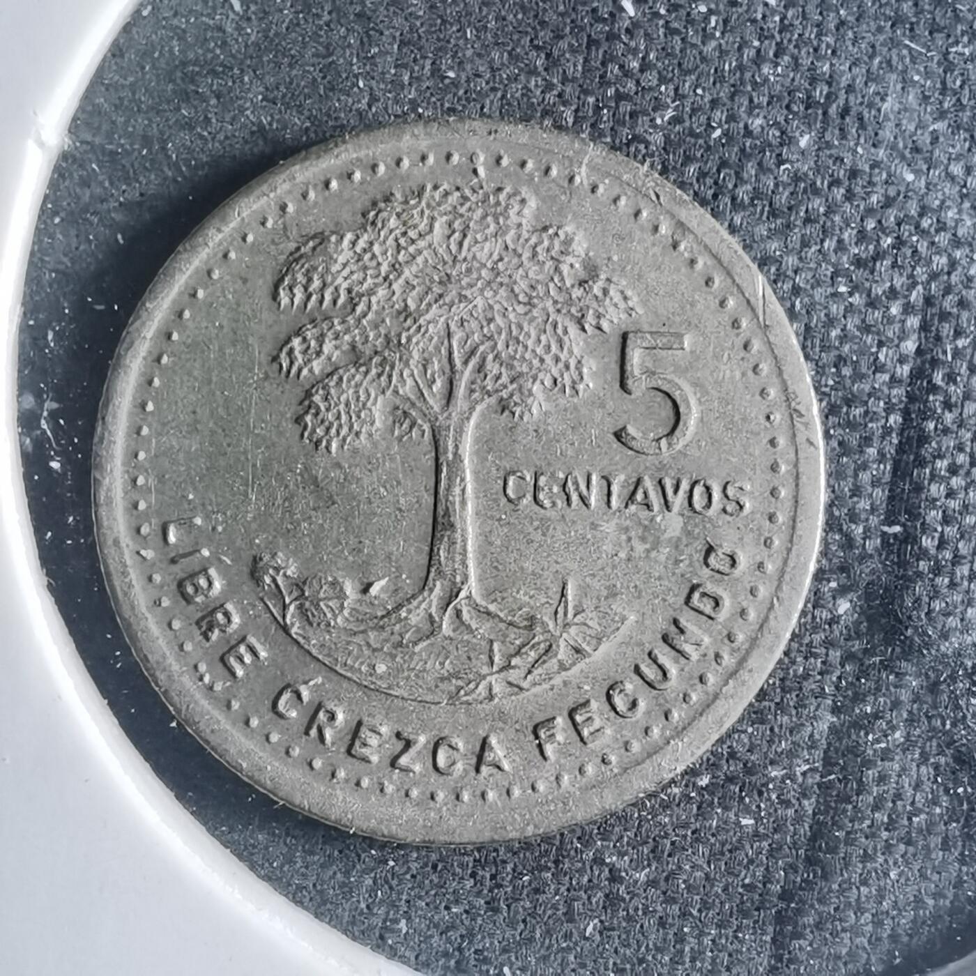 沼泽如烟--第885场