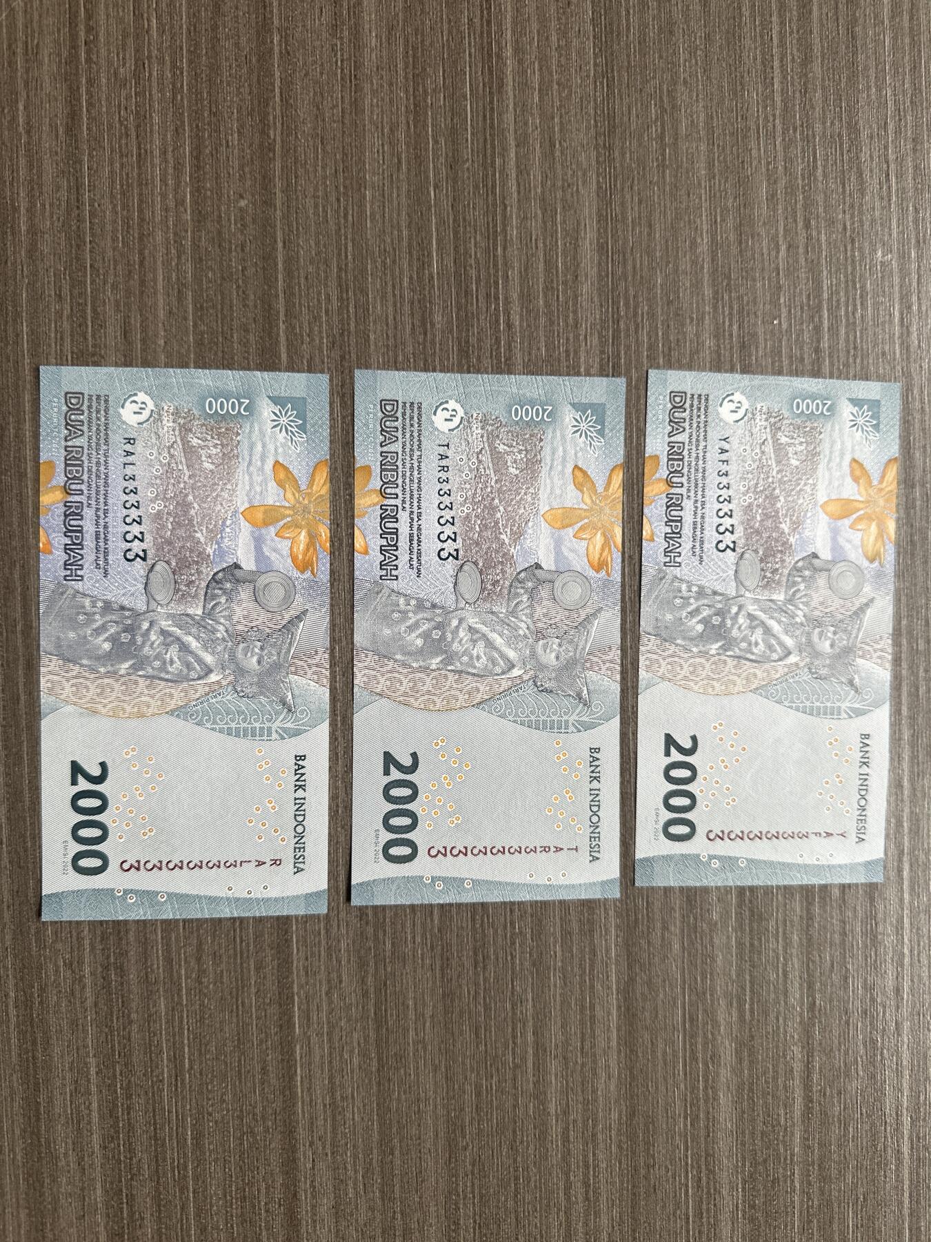 印度尼西亚通天号 印尼通天号