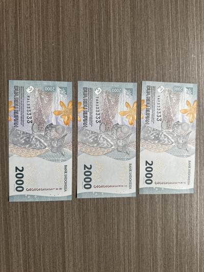 印度尼西亚通天号 - 印尼通天号