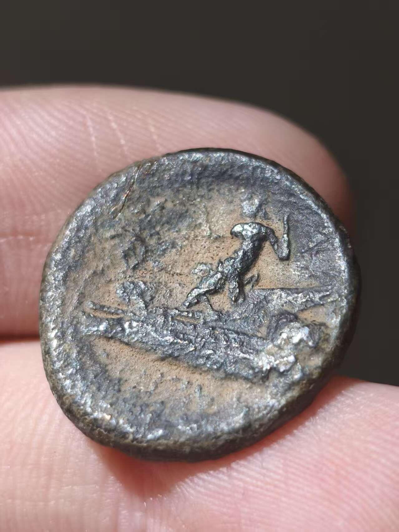 星盘世界钱币十一月五日古典币专场