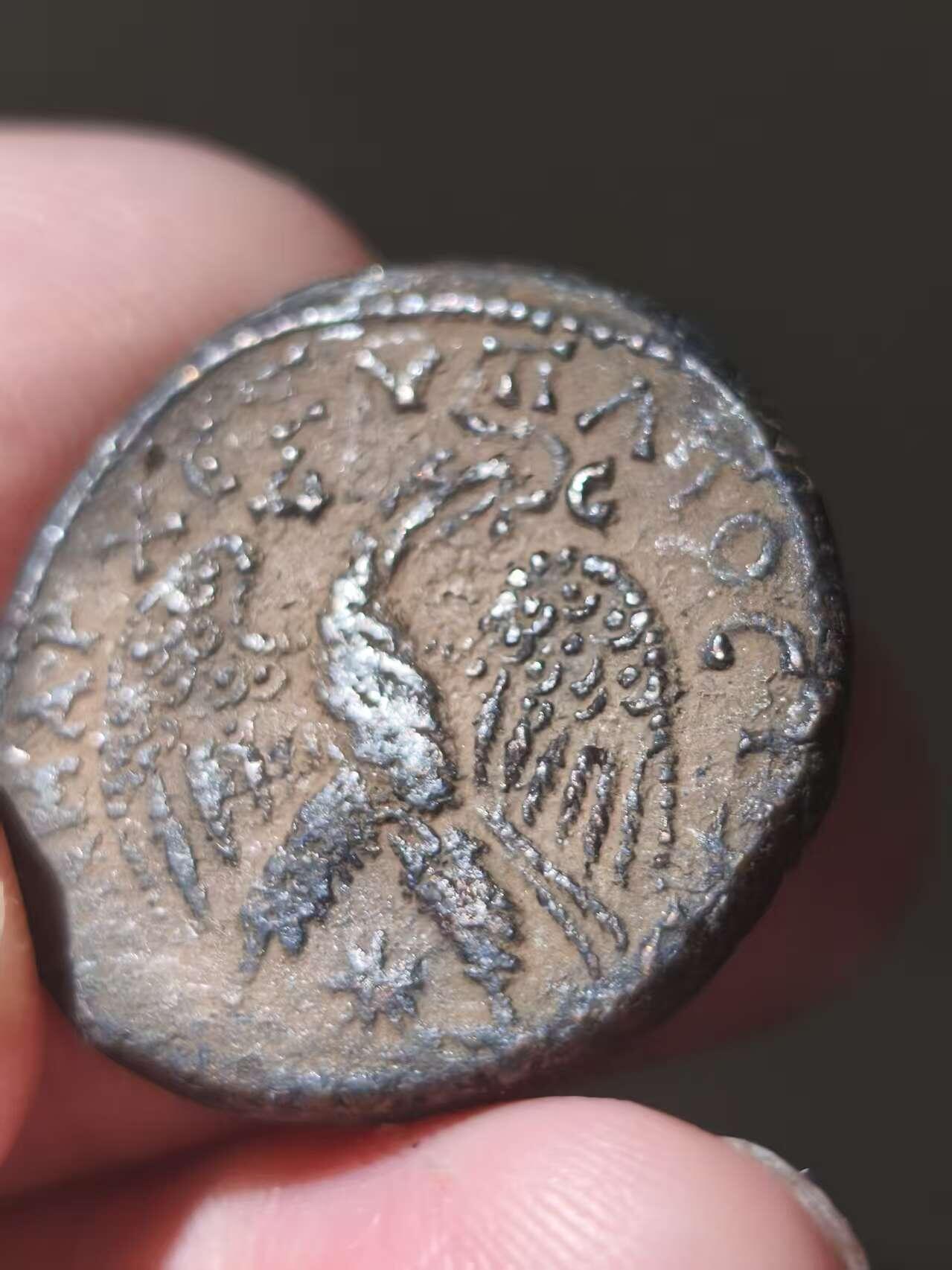 星盘世界钱币十一月五日古典币专场