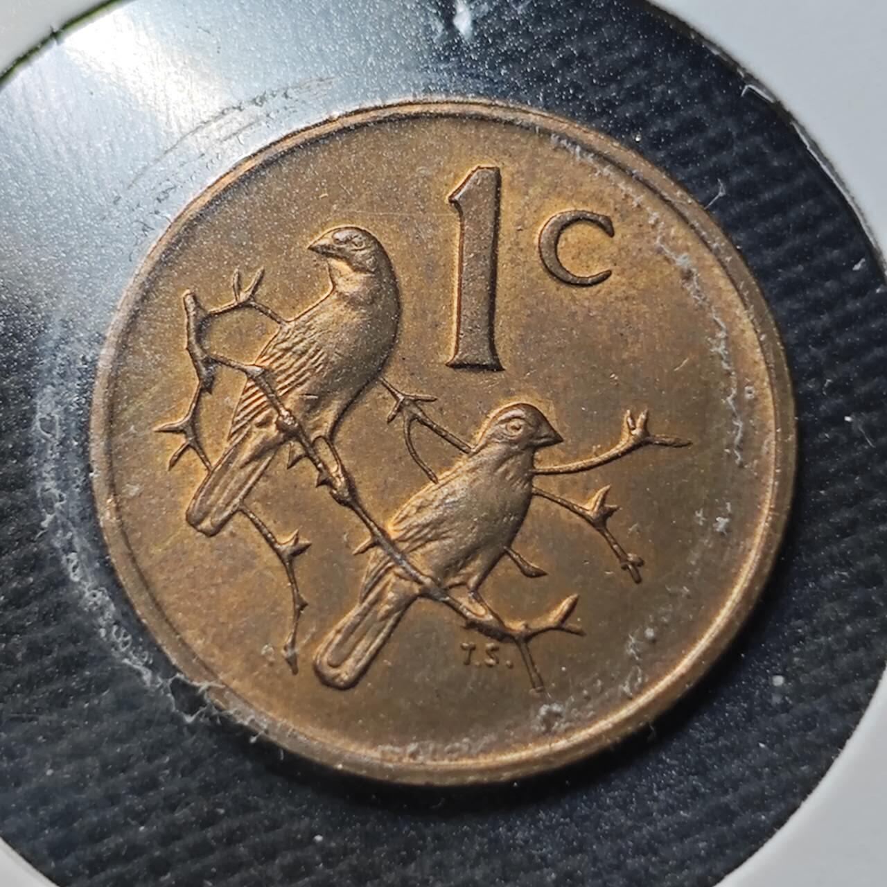 KK钱币收藏小铺  第360场  2月预留时间 周末发货  1977南非1分铜币 好品