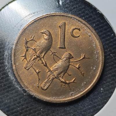 KK钱币收藏小铺  第360场  2月预留时间 周末发货 -  1977南非1分铜币 好品