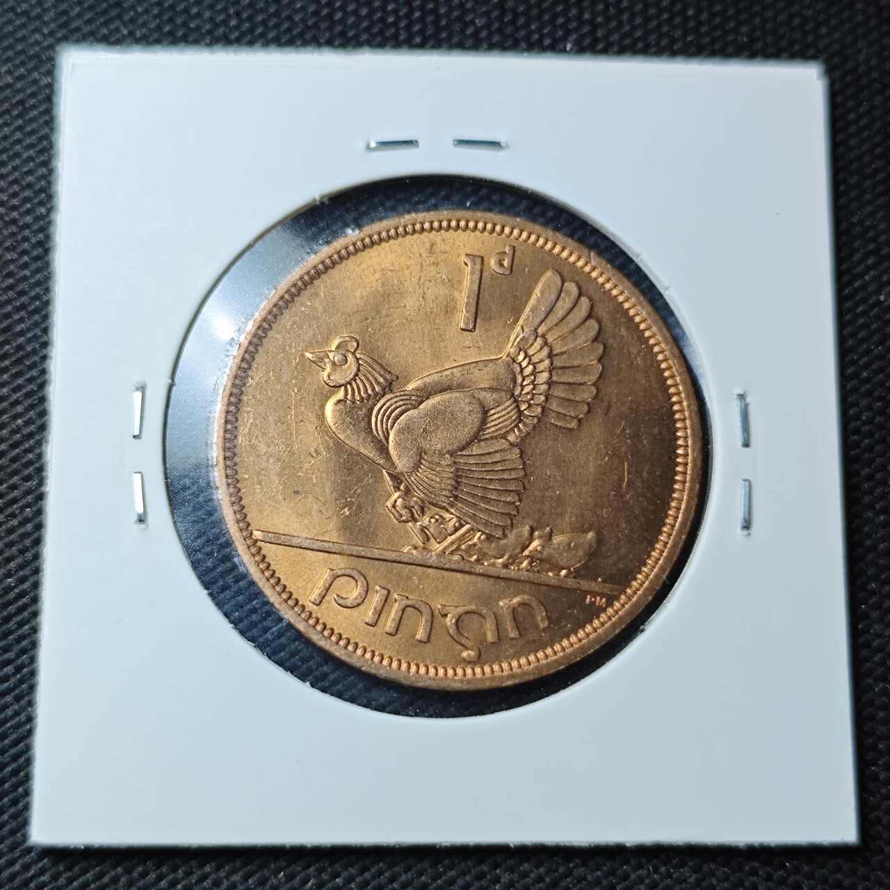 KK钱币收藏小铺  第361场  2月预留时间 周末发货  1968爱尔兰1便士 母鸡铜币