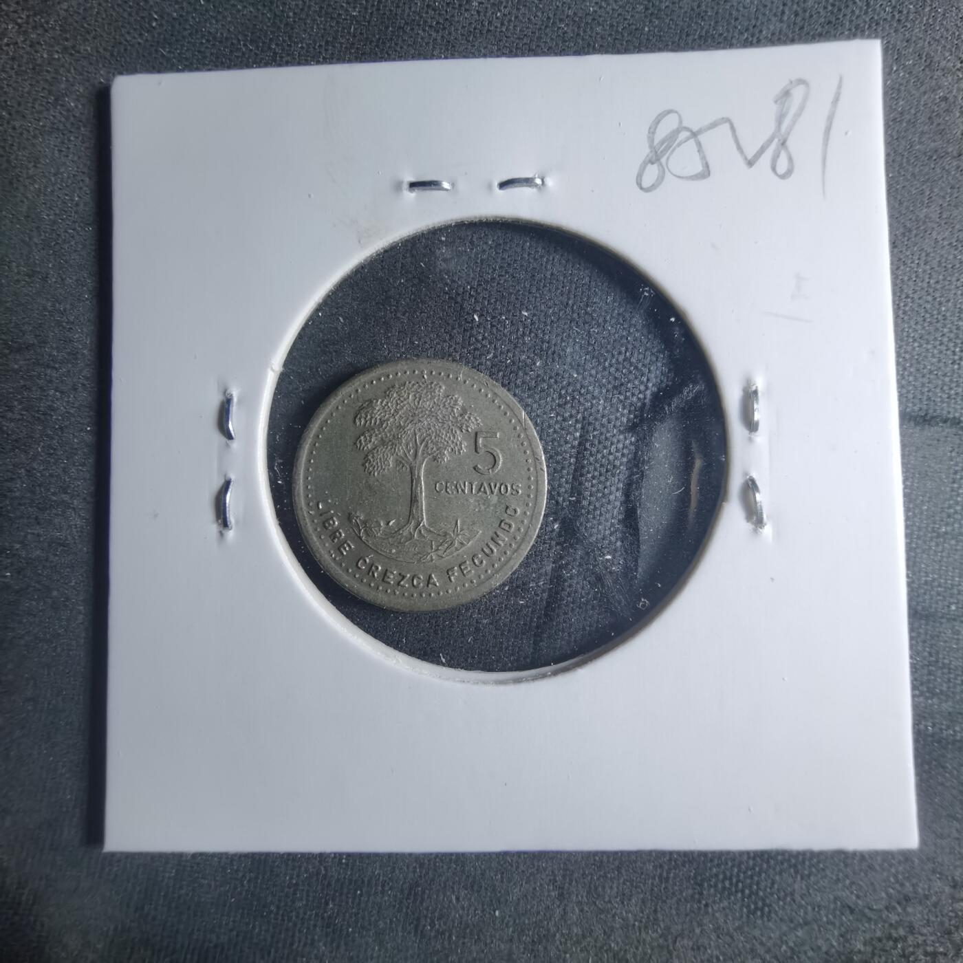 沼泽如烟--第885场