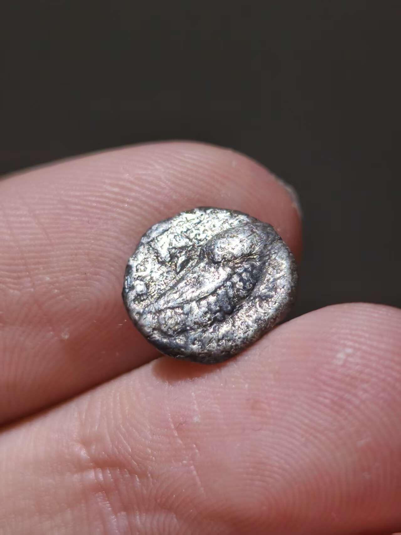 星盘世界钱币十一月五日古典币专场