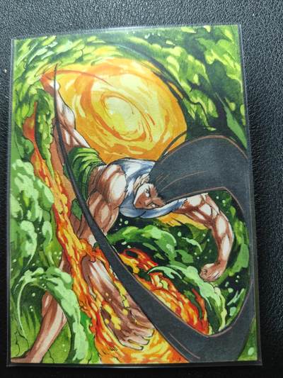 天玑星卡拍第134期《11.3周一截拍》持续收拍收评中 满赠卡需备注 - 【手绘卡】笙笙工作室 六6VI 全职猎人 手绘卡