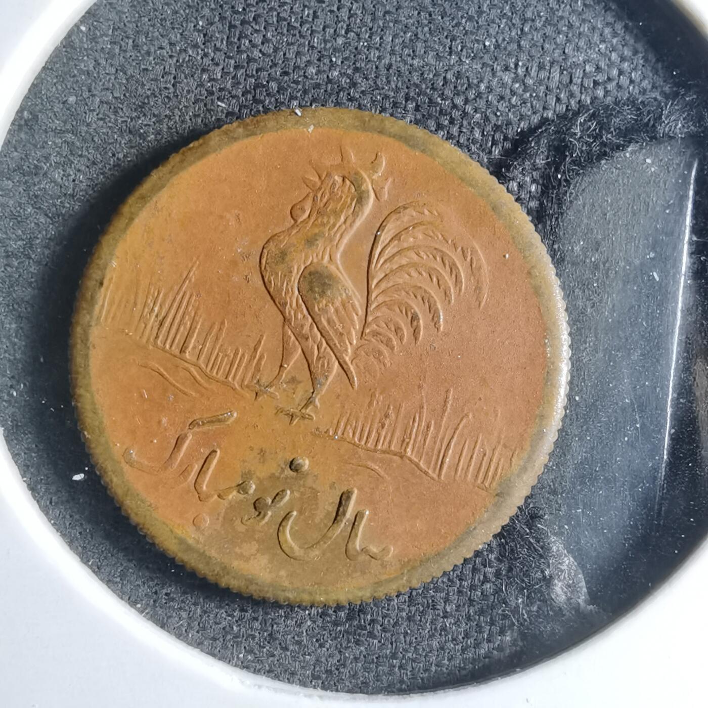 沼泽如烟--第885场 伊朗代币