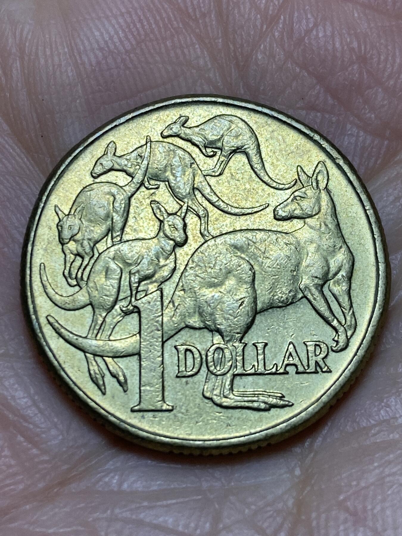 2025年第一百一十九场(总第一百四十五场）外国好品散币(免佣金) 澳大利亚🇦🇺1995年1元(伊丽莎白二世中年高冠)