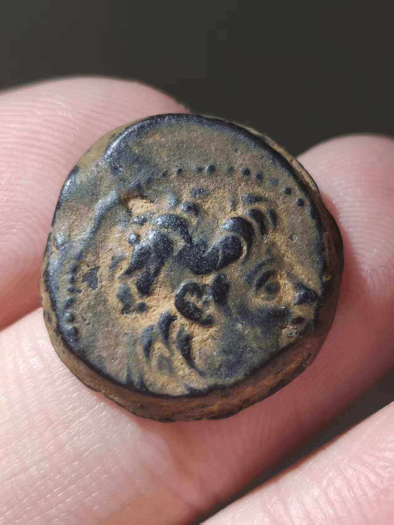 星盘世界钱币十一月五日古典币专场