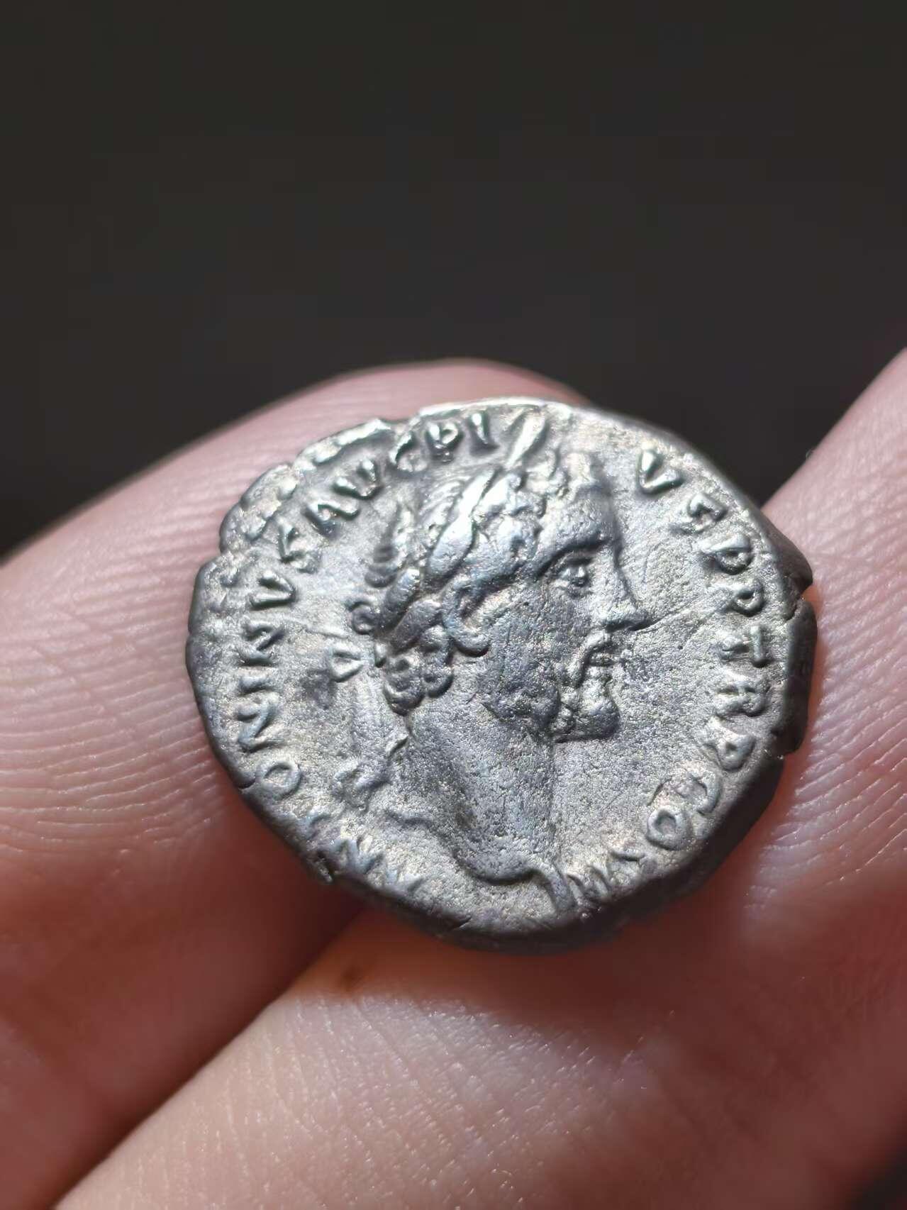 星盘世界钱币十一月五日古典币专场