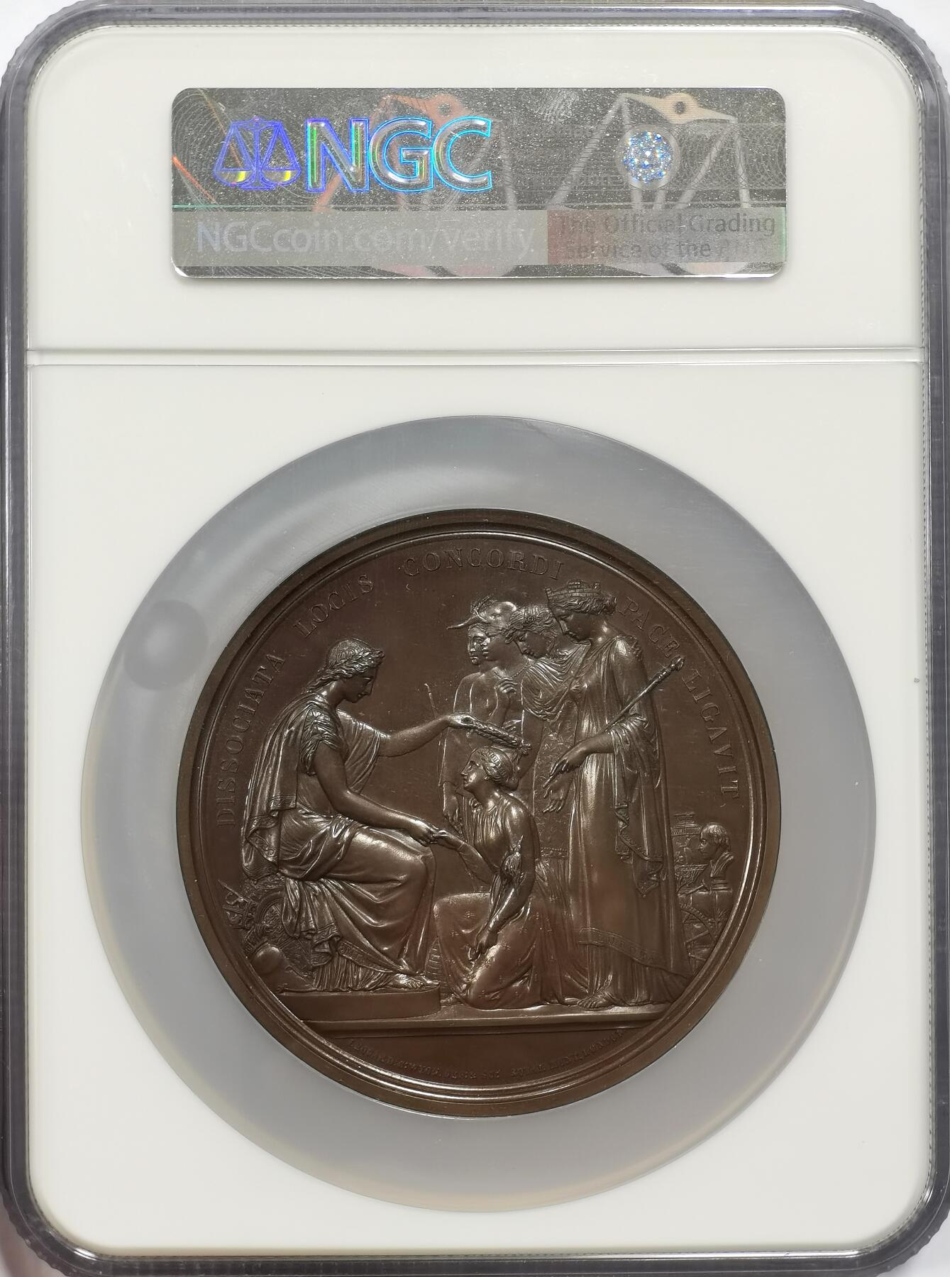 博洋堂“物美丰成”11月精品专场暨第145期（全场包邮）