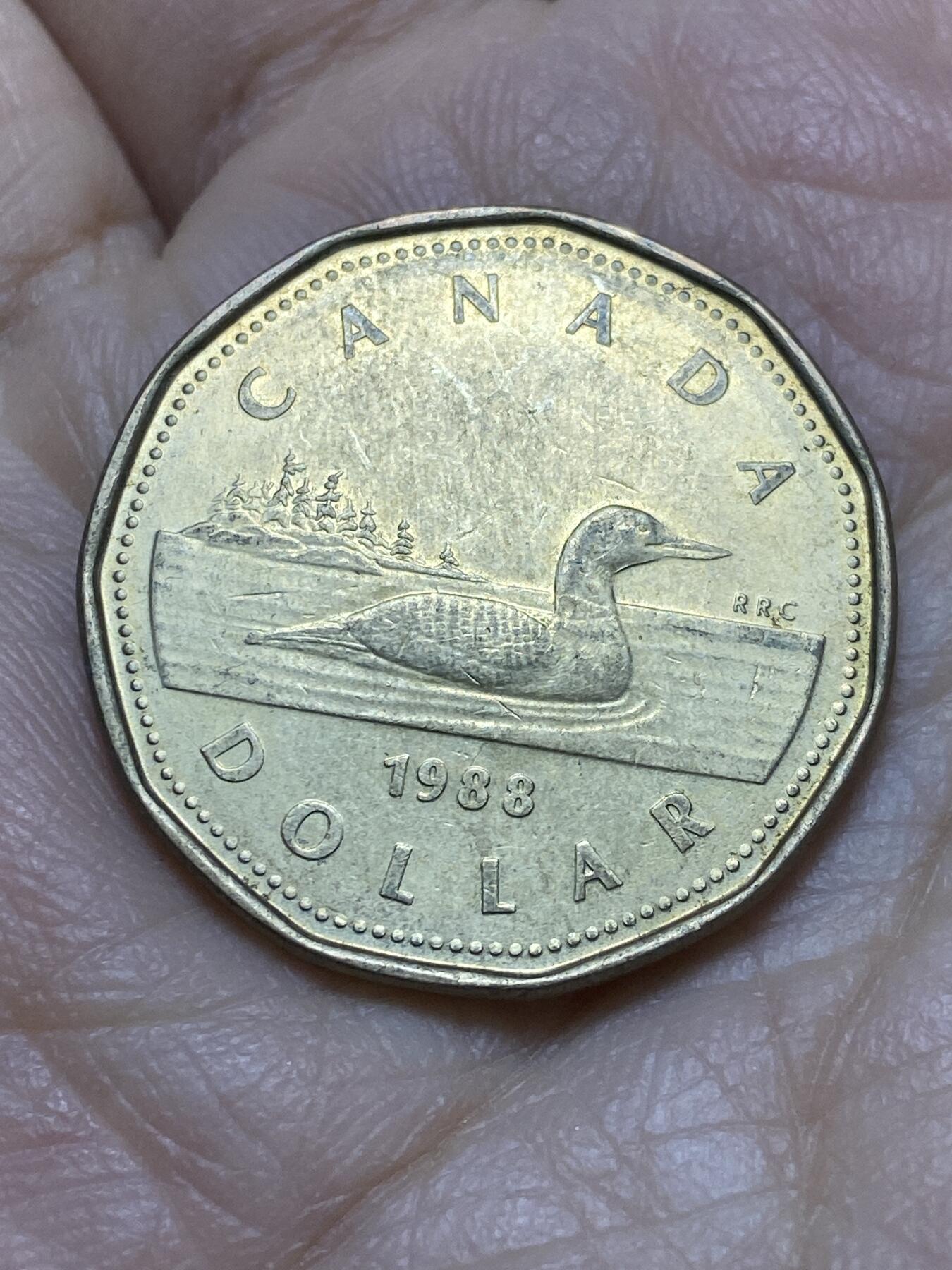 2025年第一百一十九场(总第一百四十五场）外国好品散币(免佣金) 加拿大🇨🇦1988年1元(伊丽莎白二世中年花冠浅浮雕版)