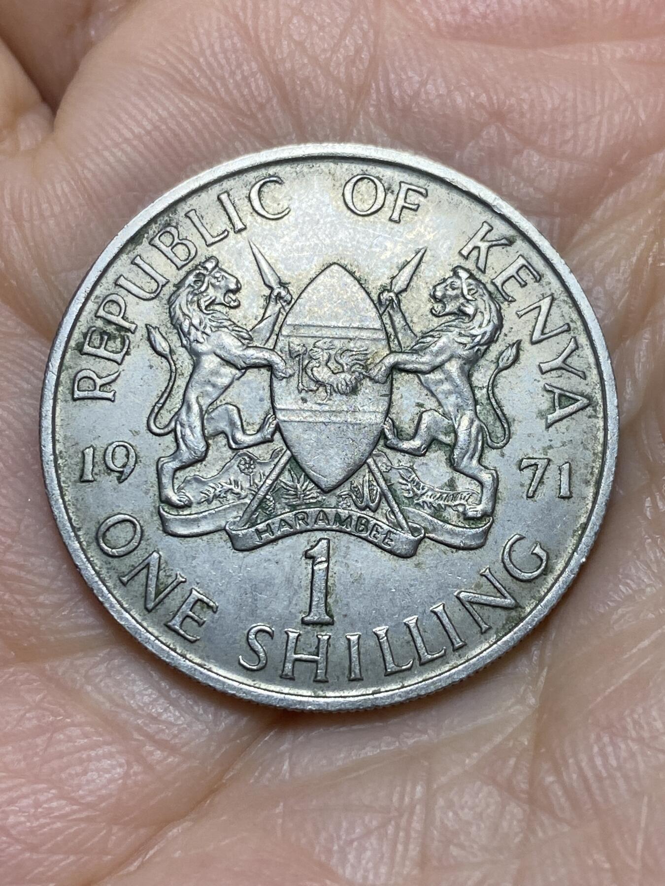 2025年第一百一十九场(总第一百四十五场）外国好品散币(免佣金) 肯尼亚🇰🇪1971年1先令