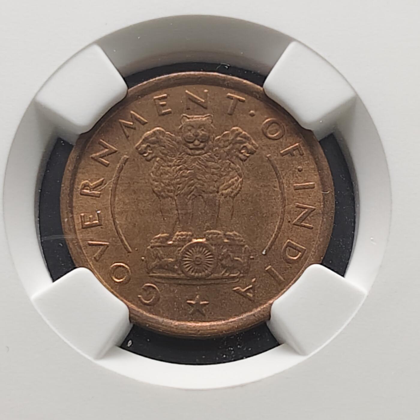 【全场包邮】纯粹捡漏拍473场（免费代拍第10场）