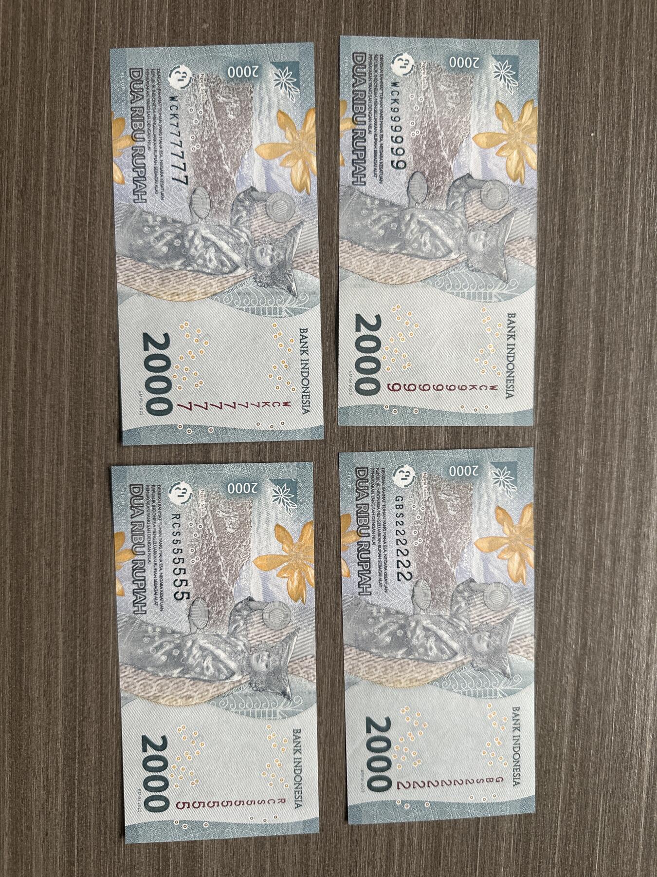 印度尼西亚通天号 印尼通天号