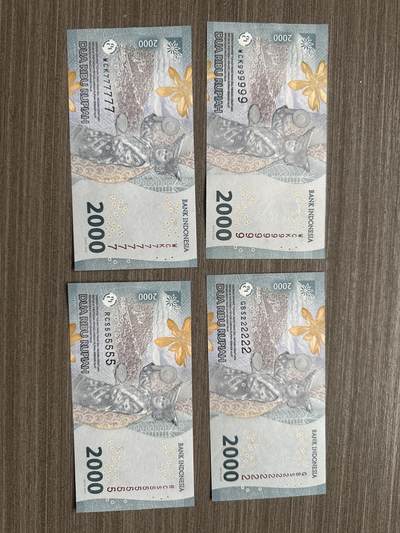 印度尼西亚通天号 - 印尼通天号