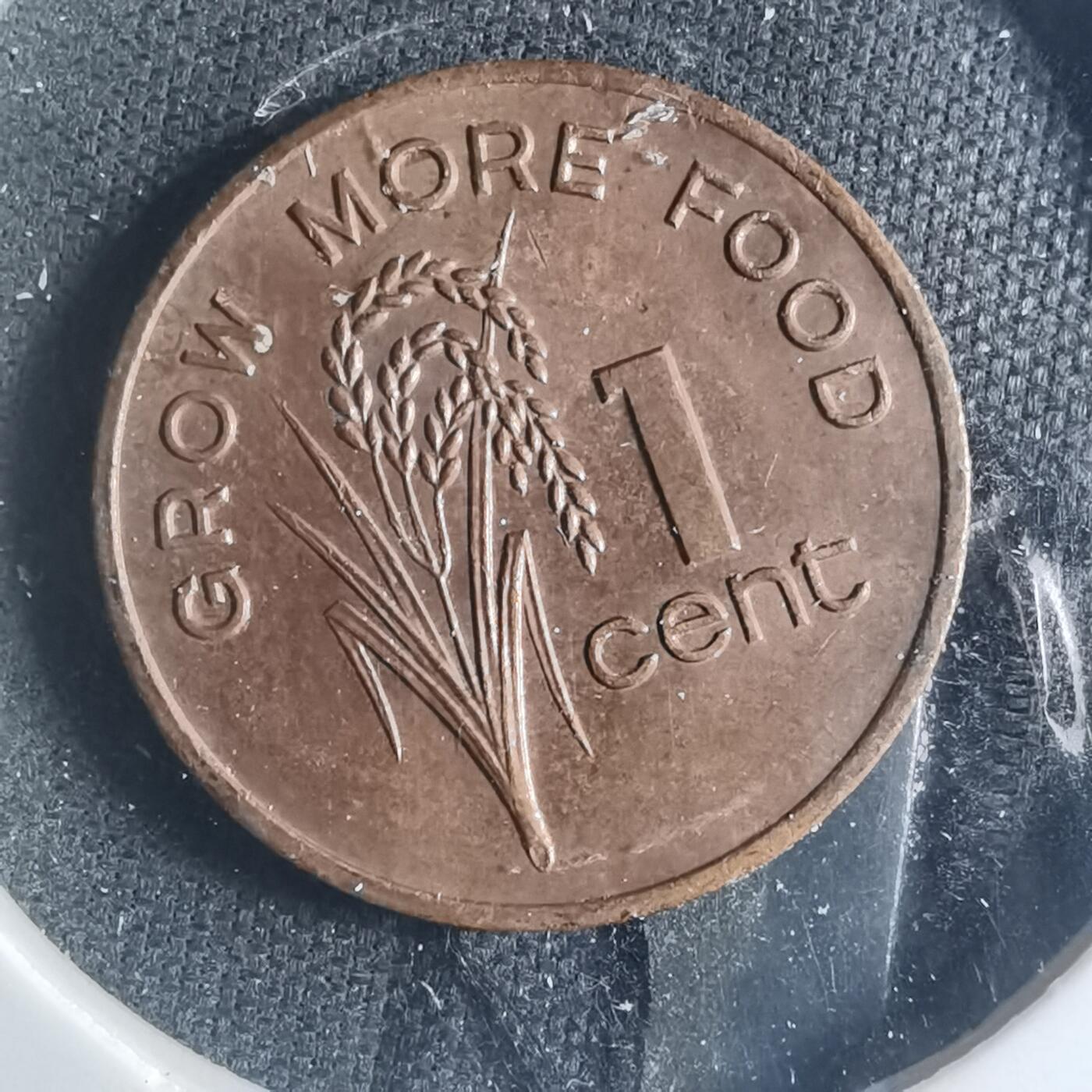 沼泽如烟--第885场