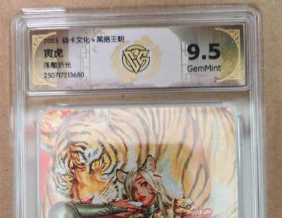 趣卡卡拍No.18期（无佣金免手续费，分享成交有奖） - 【评级卡】焱卡文化 黑暗王朝 寅虎 浮雕折光 评级卡