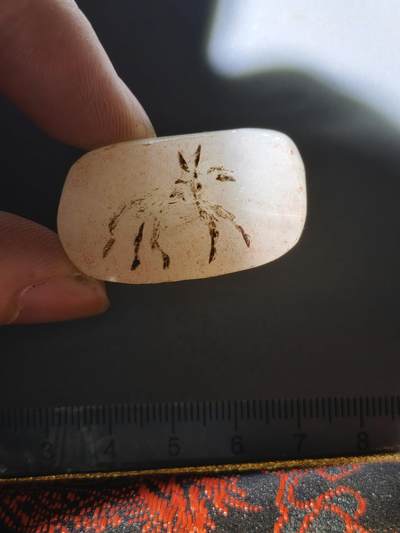 80期回流戒指饰品杂件纪念章丝路钱币专场 - 中亚印章